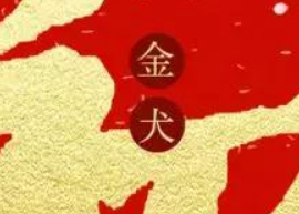 鑫耀裝飾給大家拜年了?。。? /> 
		   </div> 
		   <div   id=